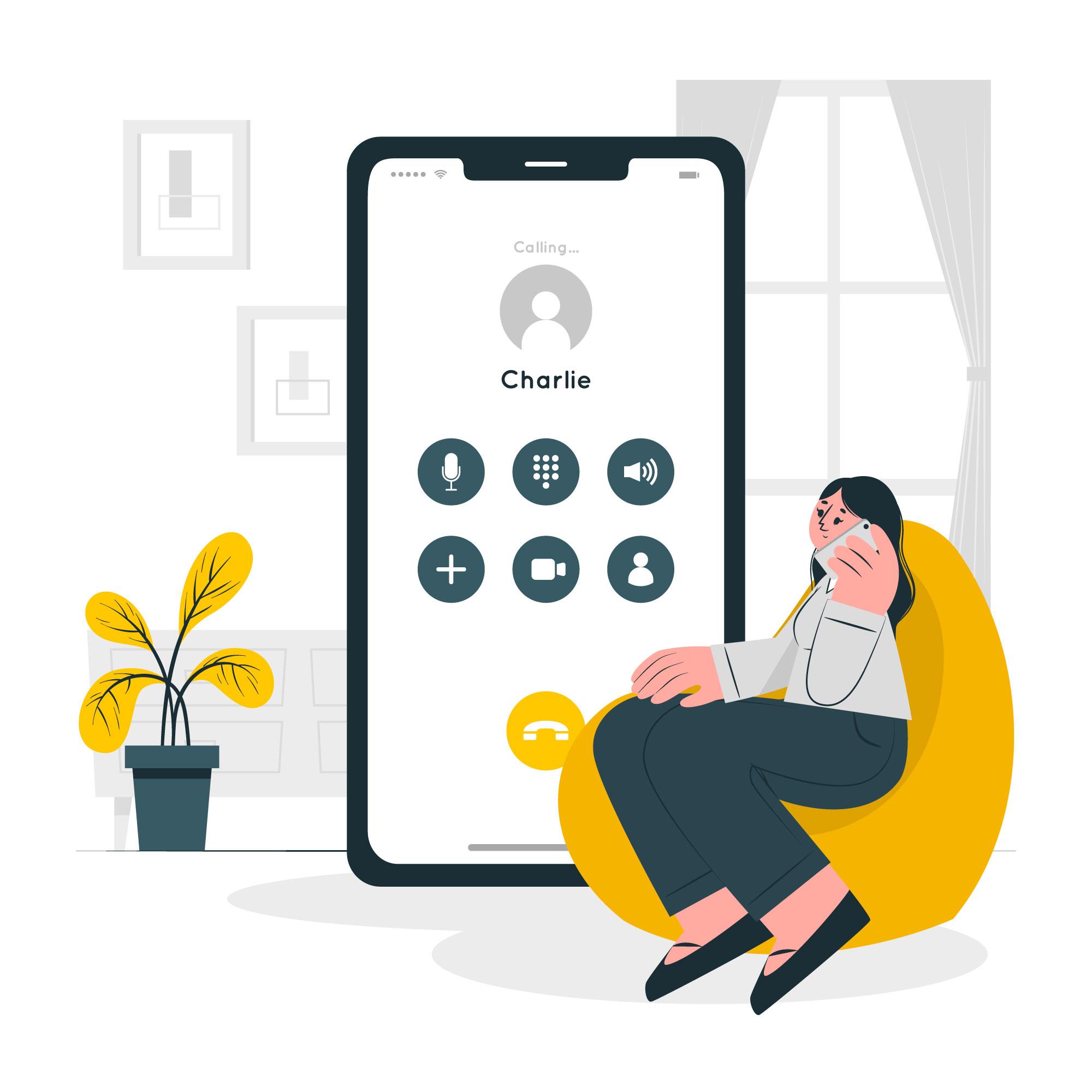 Website development